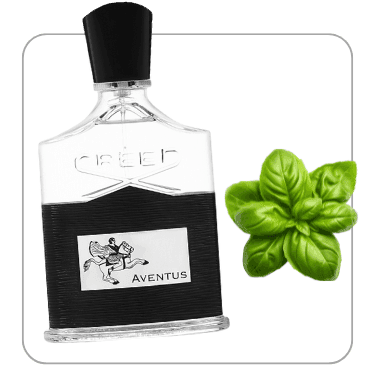 عطر الیسا